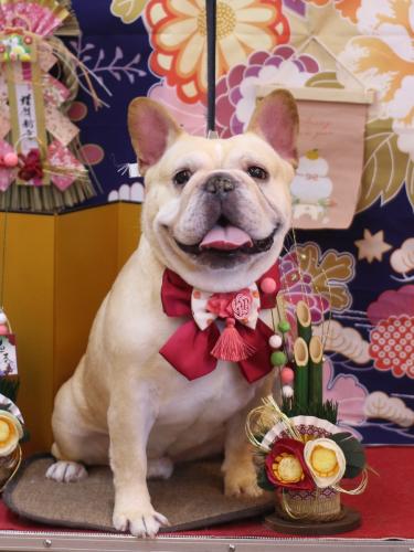 20240130こてつくん 